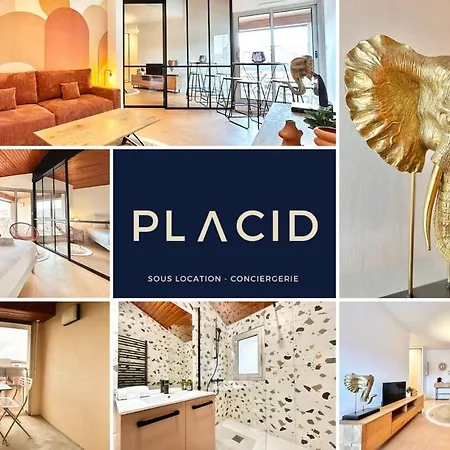Le Terrazzo - Elegant - Centre - Balcon - Lumineux Apartmán Mont-de-Marsan